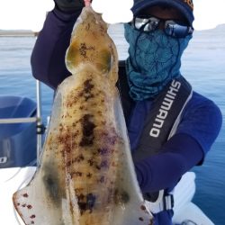 ソルトウォーターガイドフレンズ 釣果