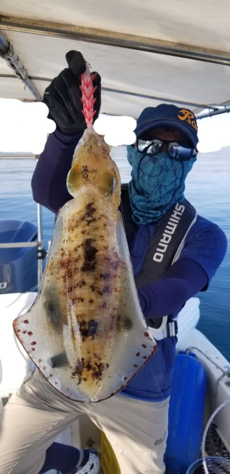 ソルトウォーターガイドフレンズ 釣果