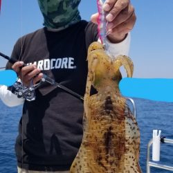 ソルトウォーターガイドフレンズ 釣果