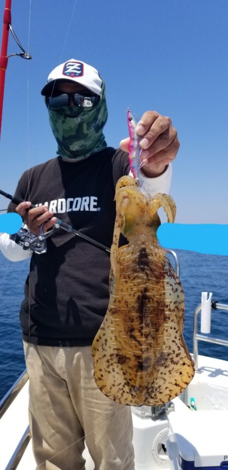 ソルトウォーターガイドフレンズ 釣果