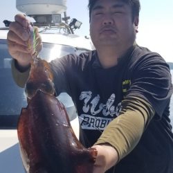 ソルトウォーターガイドフレンズ 釣果