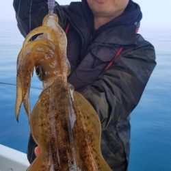 ソルトウォーターガイドフレンズ 釣果