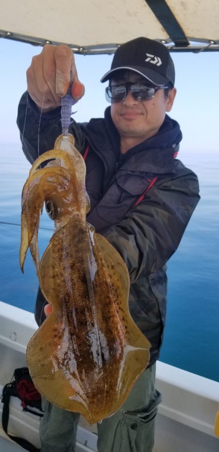 ソルトウォーターガイドフレンズ 釣果