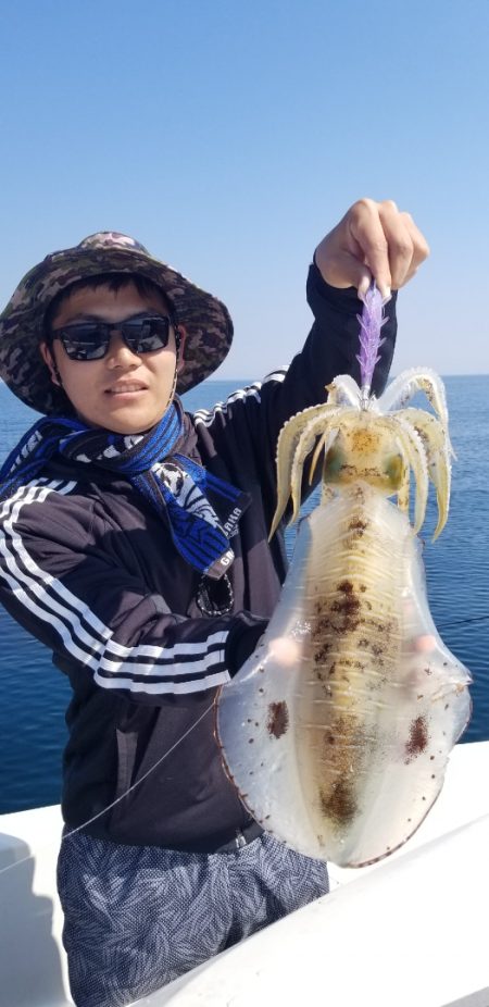 ソルトウォーターガイドフレンズ 釣果