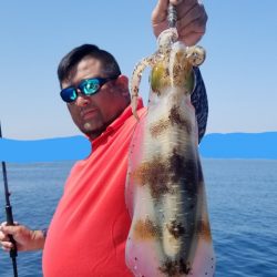 ソルトウォーターガイドフレンズ 釣果