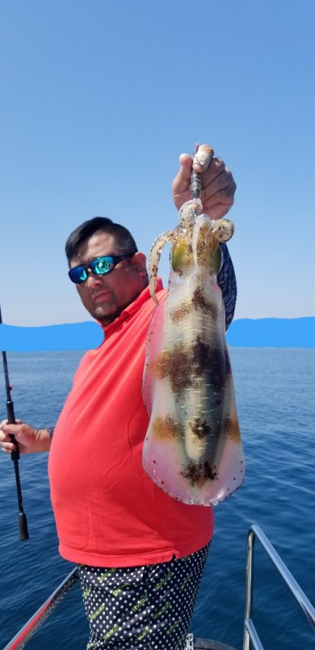 ソルトウォーターガイドフレンズ 釣果