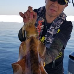 ソルトウォーターガイドフレンズ 釣果