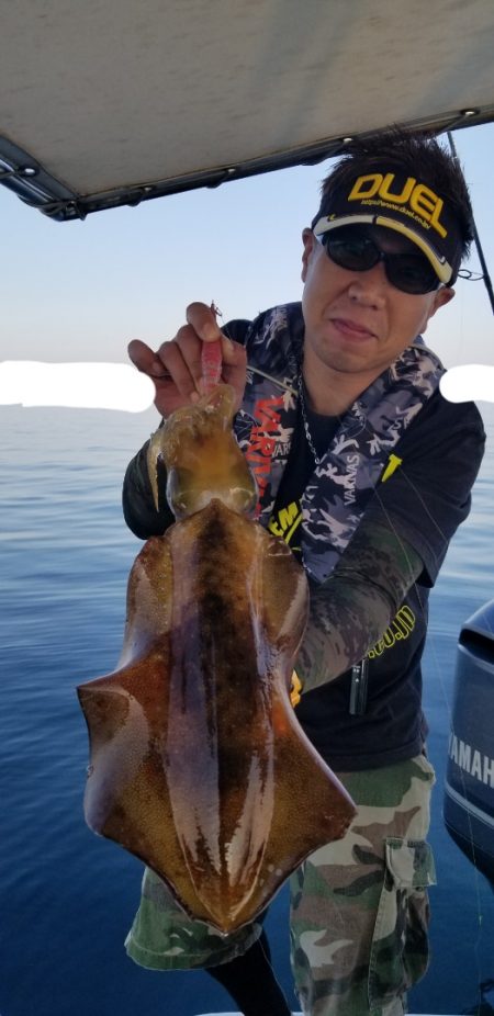 ソルトウォーターガイドフレンズ 釣果