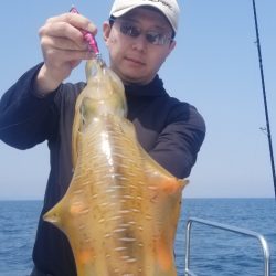 ソルトウォーターガイドフレンズ 釣果