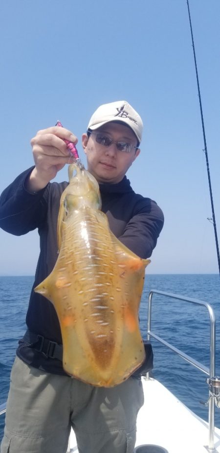 ソルトウォーターガイドフレンズ 釣果