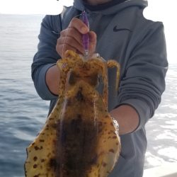 ソルトウォーターガイドフレンズ 釣果