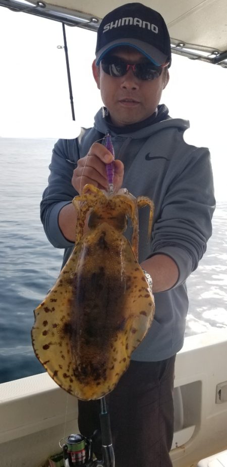 ソルトウォーターガイドフレンズ 釣果