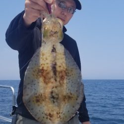 ソルトウォーターガイドフレンズ 釣果