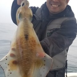 ソルトウォーターガイドフレンズ 釣果