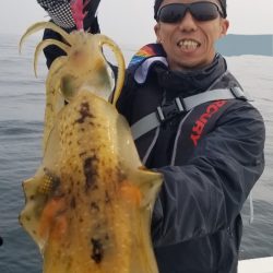 ソルトウォーターガイドフレンズ 釣果