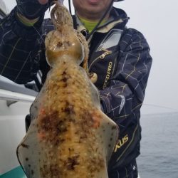 ソルトウォーターガイドフレンズ 釣果