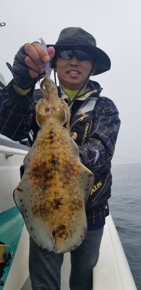 ソルトウォーターガイドフレンズ 釣果