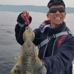 ソルトウォーターガイドフレンズ 釣果