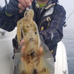 ソルトウォーターガイドフレンズ 釣果