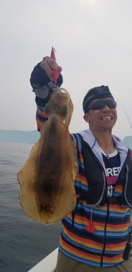 ソルトウォーターガイドフレンズ 釣果