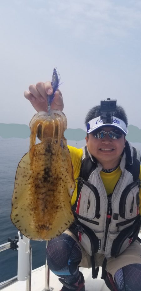 ソルトウォーターガイドフレンズ 釣果