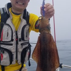 ソルトウォーターガイドフレンズ 釣果