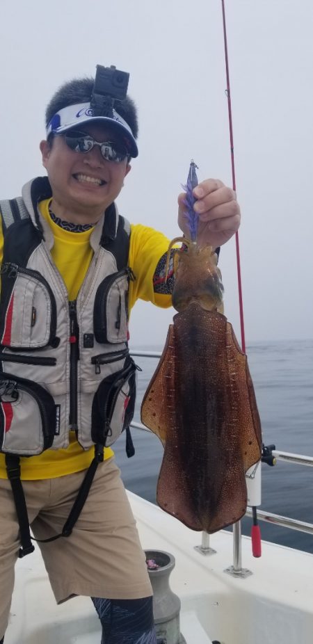 ソルトウォーターガイドフレンズ 釣果