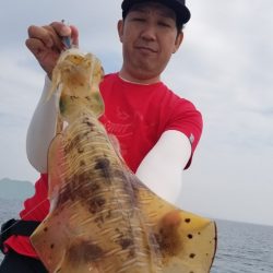 ソルトウォーターガイドフレンズ 釣果