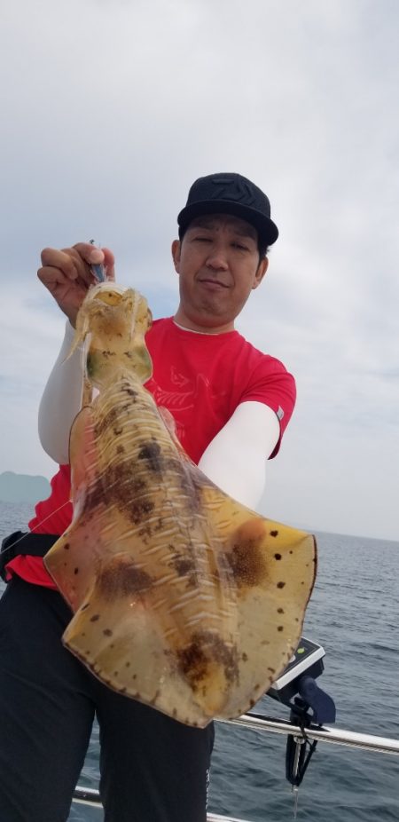 ソルトウォーターガイドフレンズ 釣果