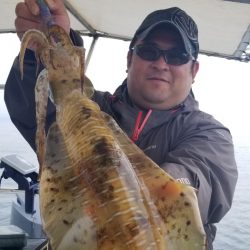 ソルトウォーターガイドフレンズ 釣果