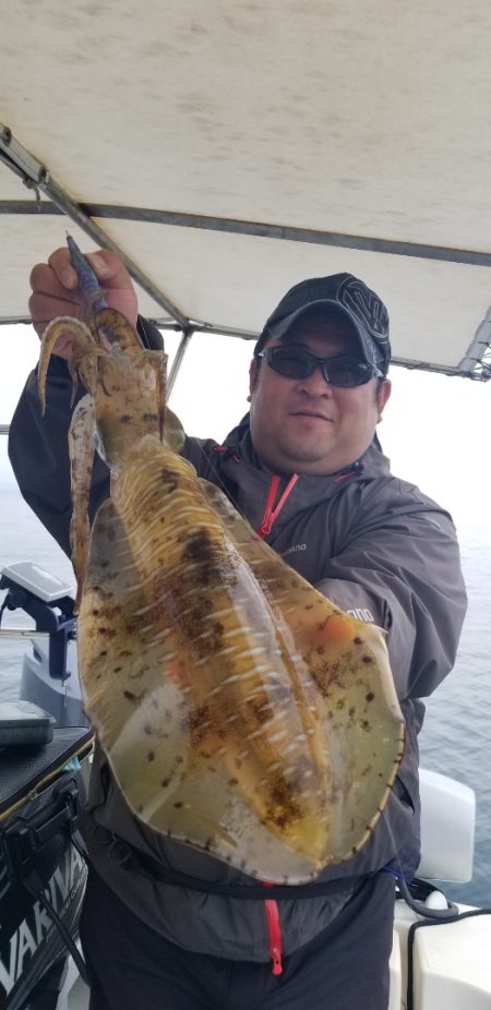 ソルトウォーターガイドフレンズ 釣果