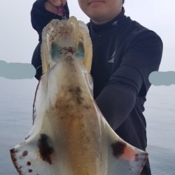 ソルトウォーターガイドフレンズ 釣果