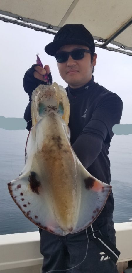 ソルトウォーターガイドフレンズ 釣果