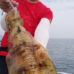 ソルトウォーターガイドフレンズ 釣果