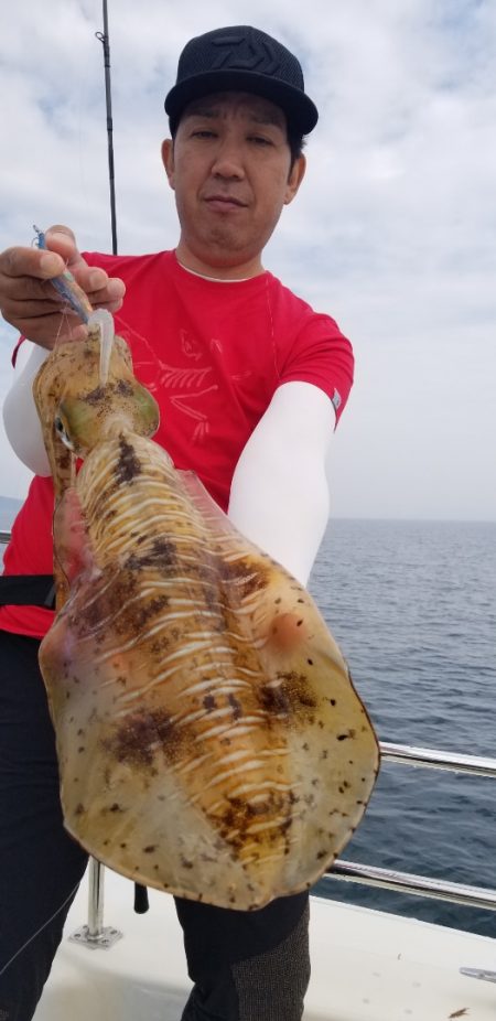 ソルトウォーターガイドフレンズ 釣果