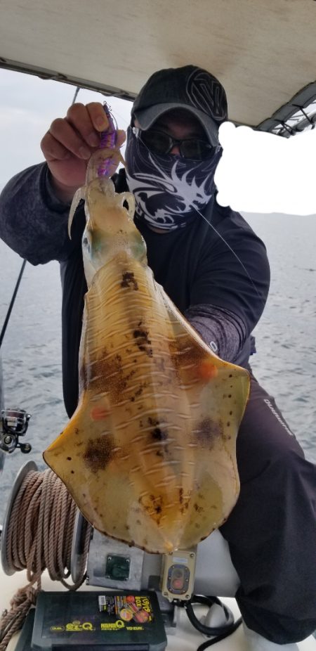 ソルトウォーターガイドフレンズ 釣果