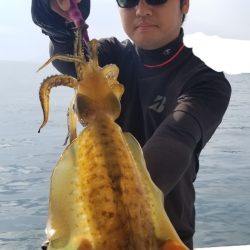 ソルトウォーターガイドフレンズ 釣果