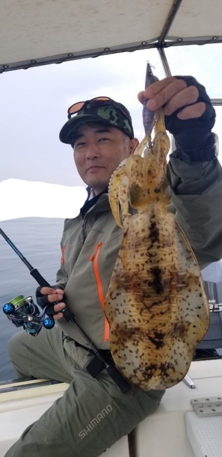 ソルトウォーターガイドフレンズ 釣果