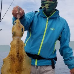 ソルトウォーターガイドフレンズ 釣果