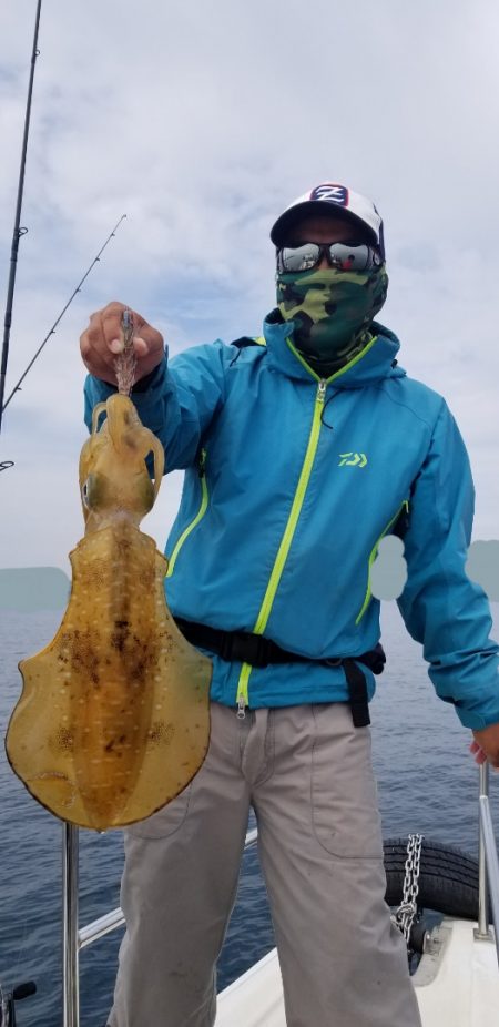 ソルトウォーターガイドフレンズ 釣果