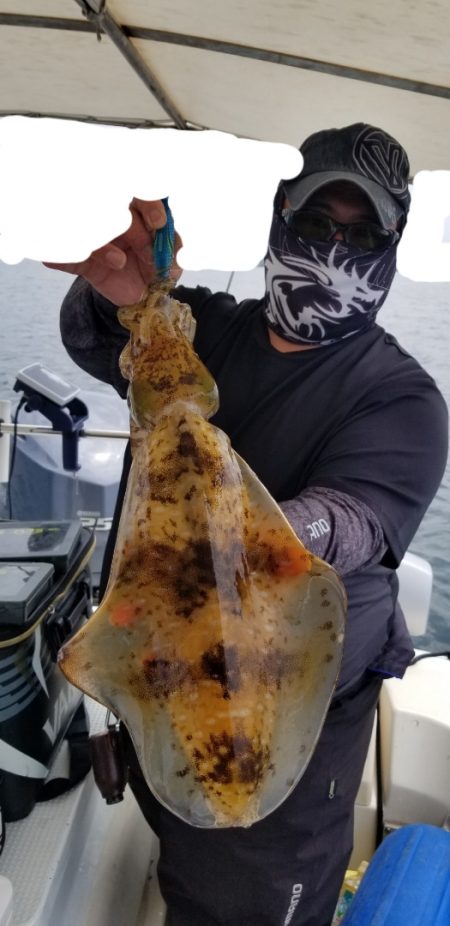 ソルトウォーターガイドフレンズ 釣果