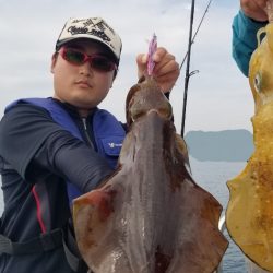 ソルトウォーターガイドフレンズ 釣果