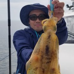 ソルトウォーターガイドフレンズ 釣果