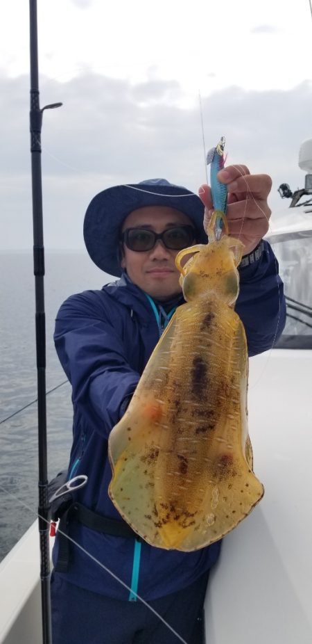 ソルトウォーターガイドフレンズ 釣果