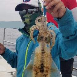 ソルトウォーターガイドフレンズ 釣果