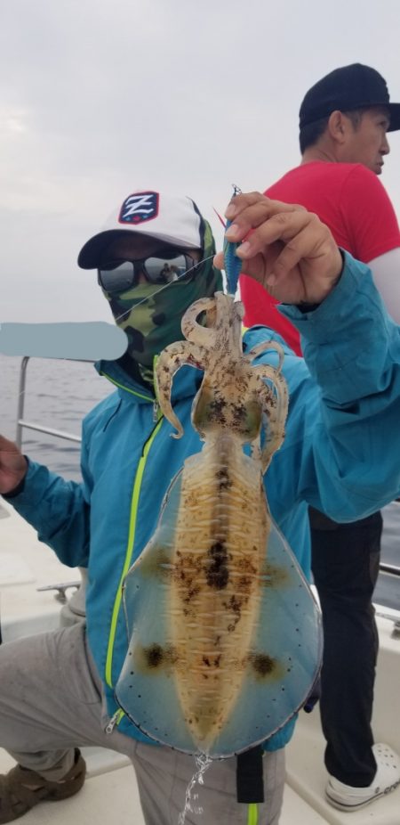 ソルトウォーターガイドフレンズ 釣果