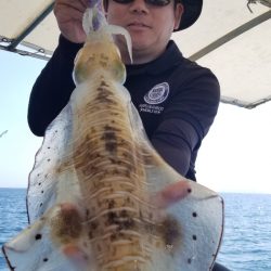 ソルトウォーターガイドフレンズ 釣果