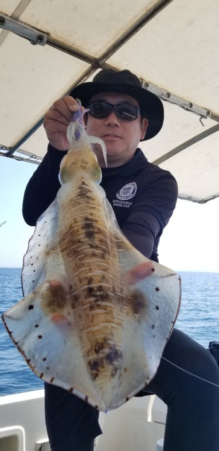 ソルトウォーターガイドフレンズ 釣果