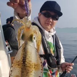 ソルトウォーターガイドフレンズ 釣果