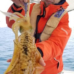 ソルトウォーターガイドフレンズ 釣果